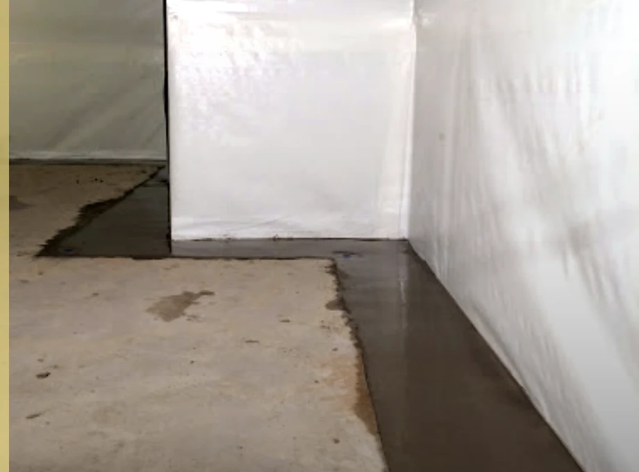 Basement Moisture Control project image